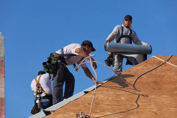 Quick and Trustworthy Emergency Roof Repair Services in Ortonville, MN