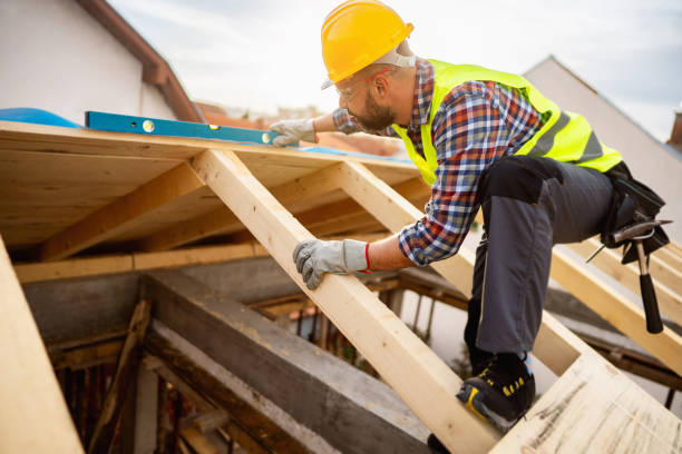 Roof Gutter Cleaning in Ortonville, MN