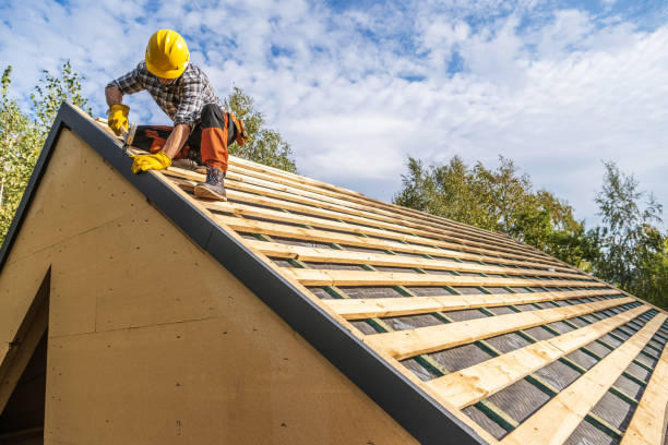 Best Roof Replacement Cost  in Ortonville, MN