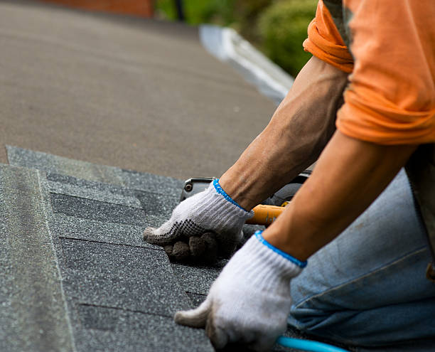 Best Storm Damage Roof Repair  in Ortonville, MN
