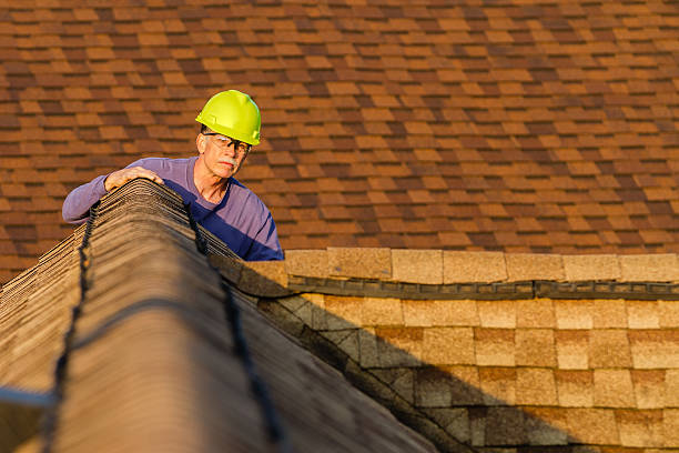 Best Emergency Roof Repair  in Ortonville, MN