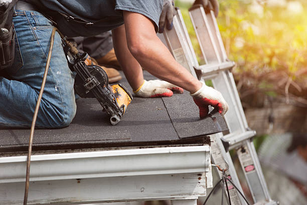 Best Roof Repair Services  in Ortonville, MN