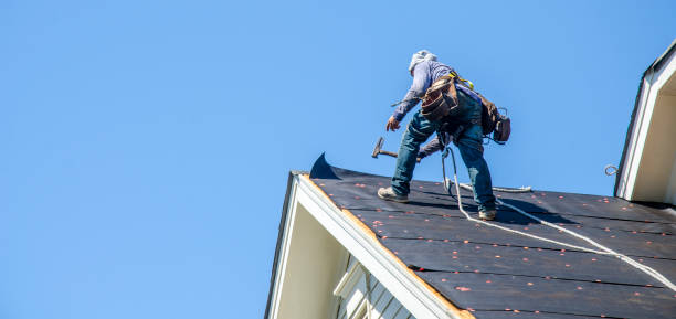 Best Metal Roofing Contractor  in Ortonville, MN